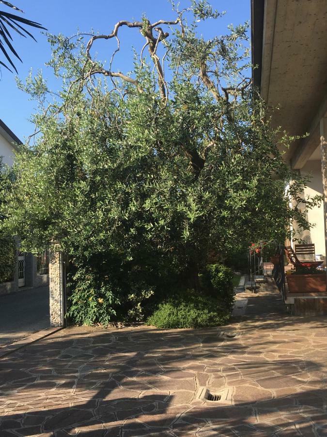 Celeste'S House Villa Rivoltella del Garda Ngoại thất bức ảnh